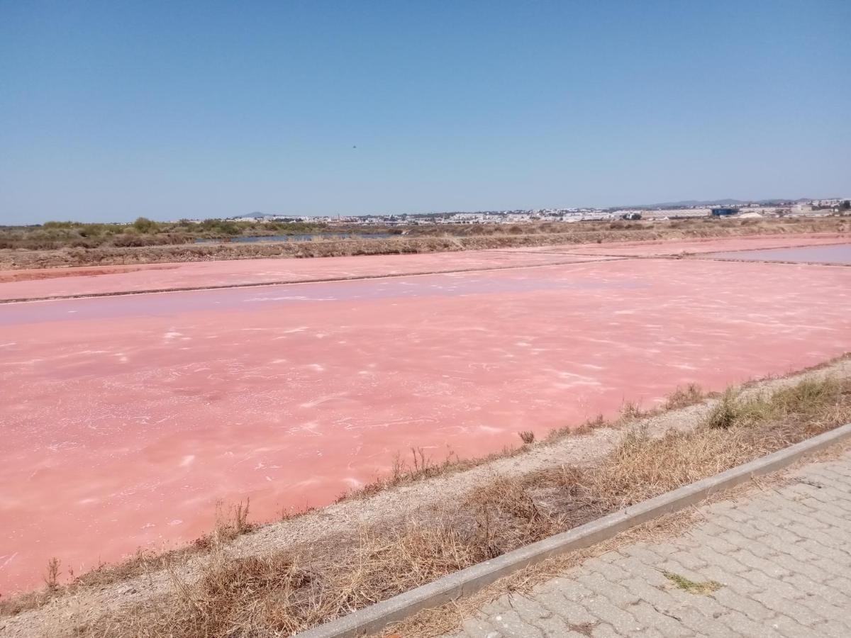 Le Boucanier Tavira Esterno foto