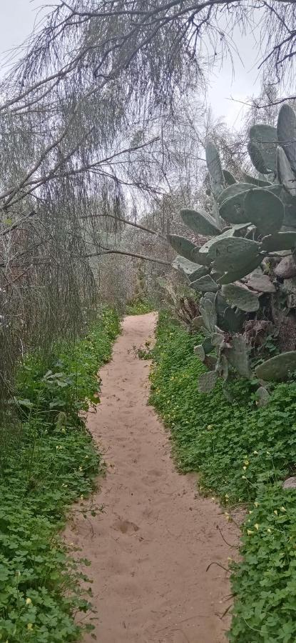 Le Boucanier Tavira Esterno foto