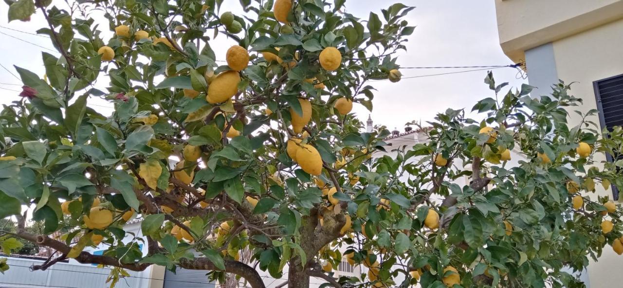 Le Boucanier Tavira Esterno foto